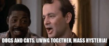 6e15dd9e-5b26-4a8f-a3d1-e0943d967a90